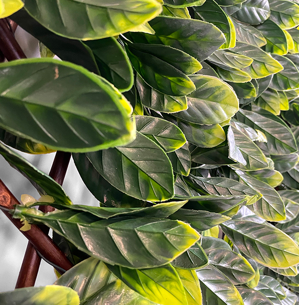 laurel foliage on the extendable hedging