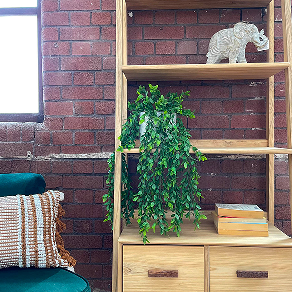 artificial ficus plant used in a hanging pot on shelving