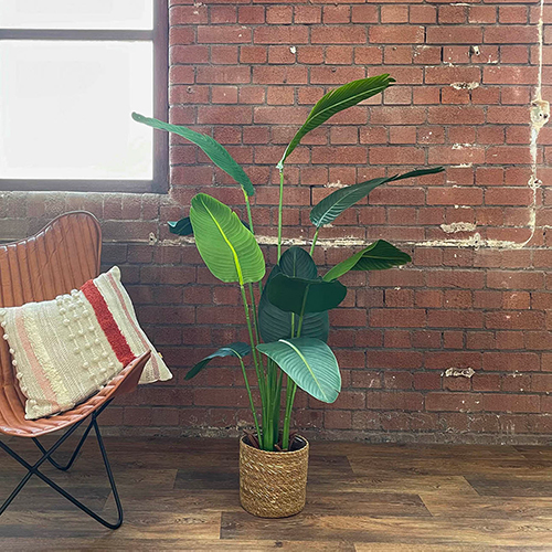 travellers palm tree the perfect faux plant for office spaces