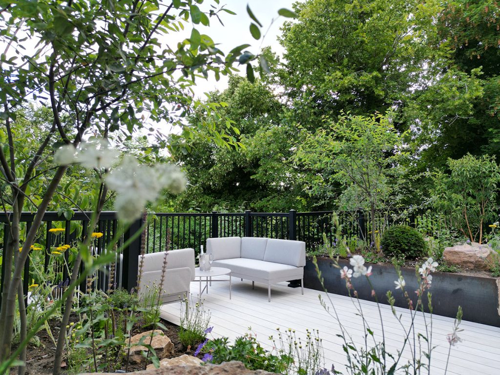 the aluminium balustrade in a stylsih contemporary garden space