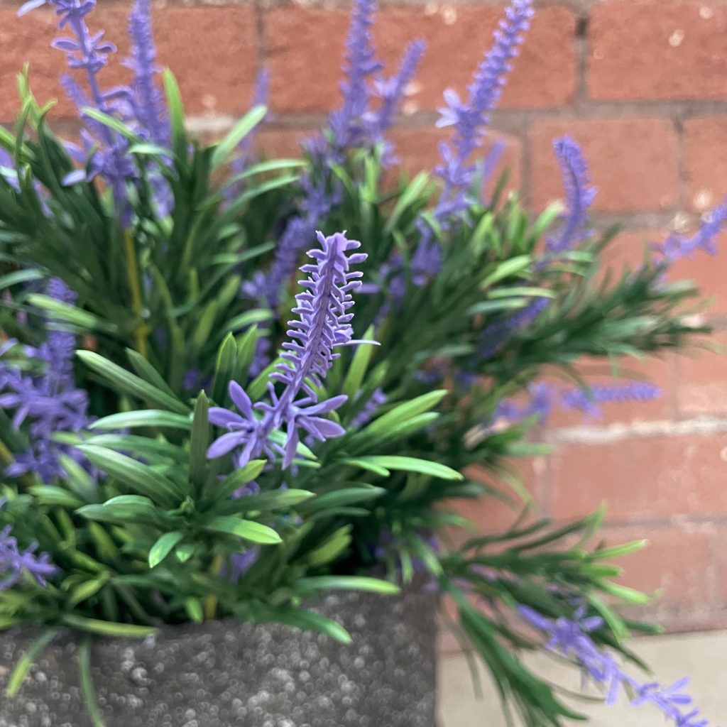 close up of the artificial lavender plants