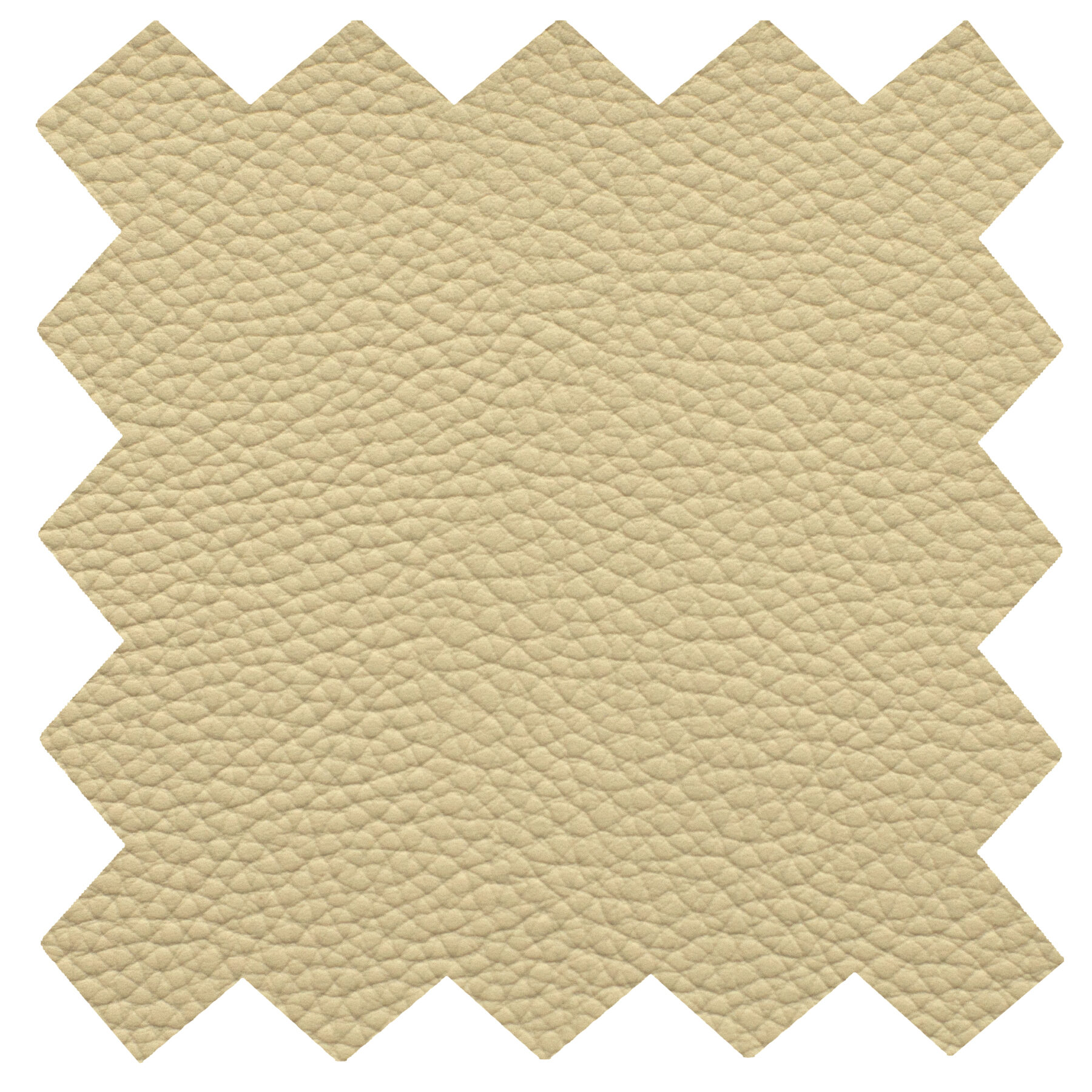 ivory leather swatch