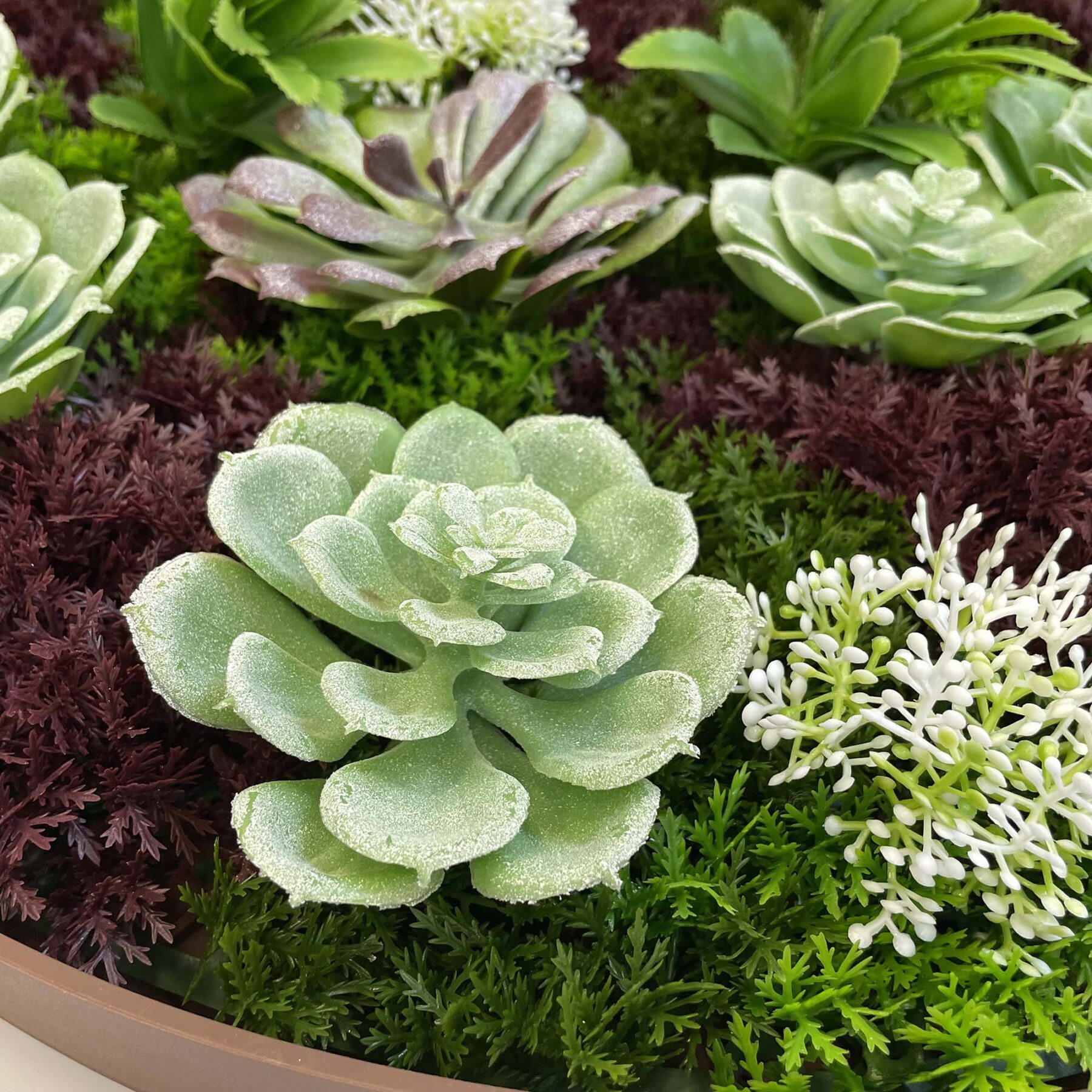 artificial succulents close up detailing