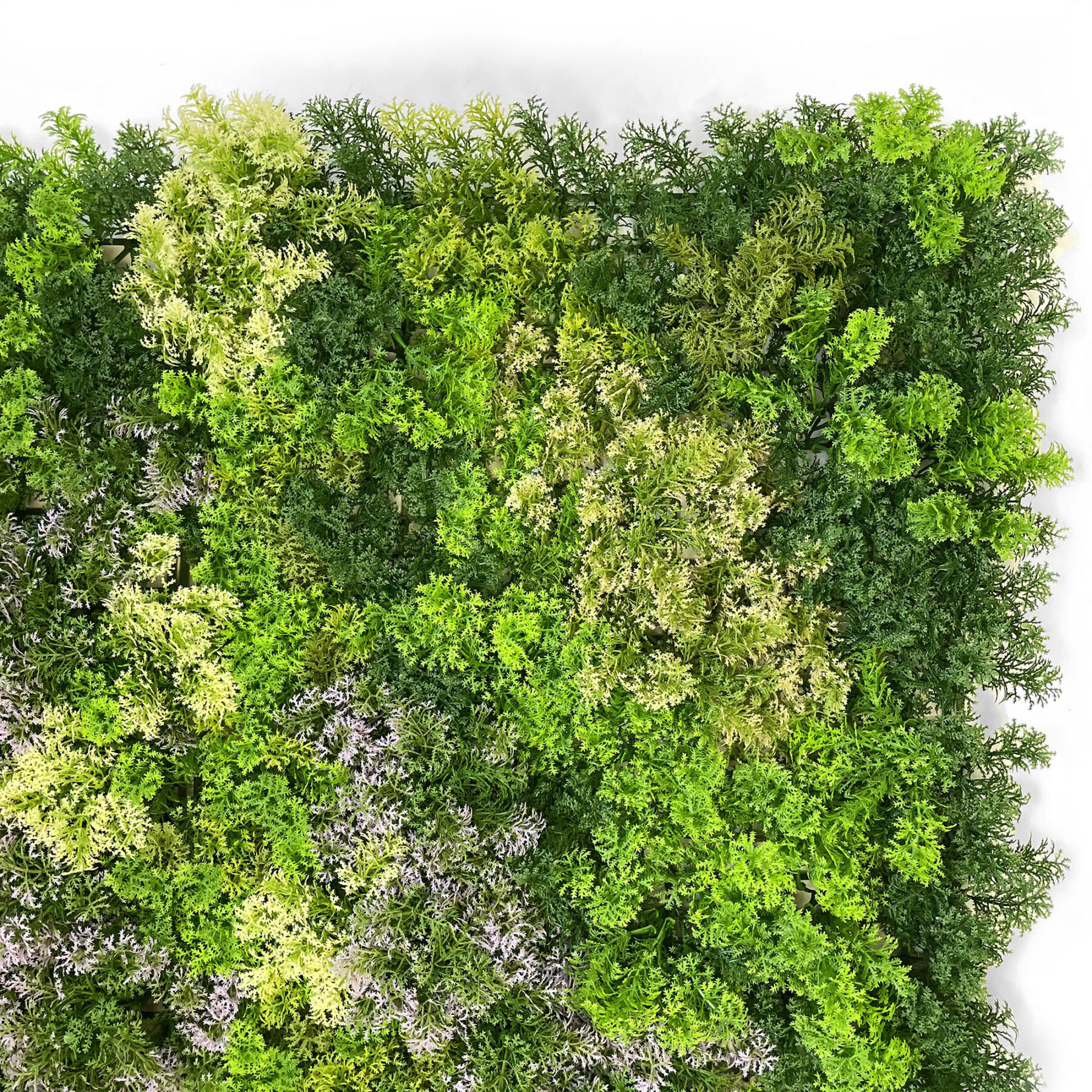 large 1m x 1m hedge tile of artificial moss