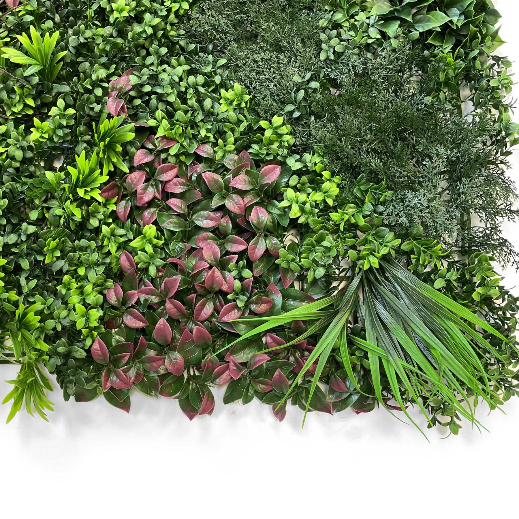 green, red, white mixed foliage hedge panels